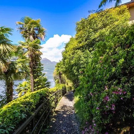 アパート Vista 180° *